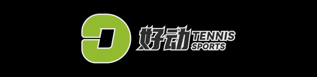 米兰体育-网球天堂没错了！萨巴伦卡好事成双逆转莱巴金娜 辛纳集齐大师赛六项硬地冠军解锁新成就